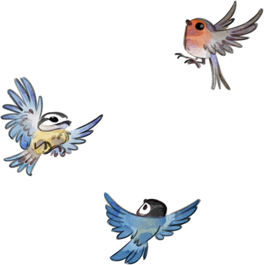 oiseaux fond transparent