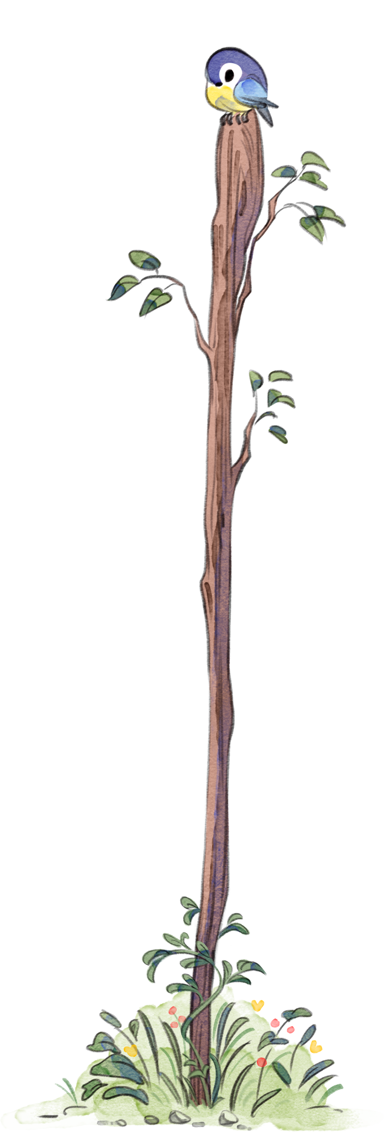 bâton fond transparent